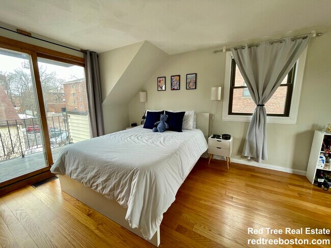 Photo - 41 Ashford St