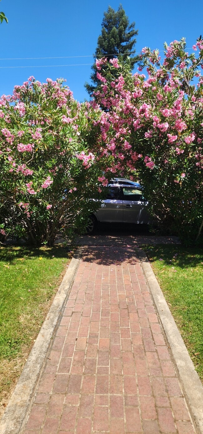 Photo - 6330 9th Ave