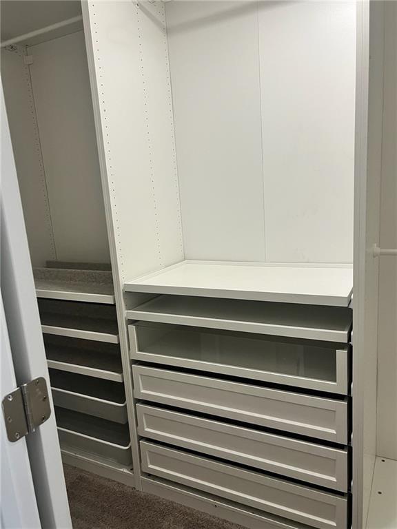 Photo - 7150 Fringe Flower Dr