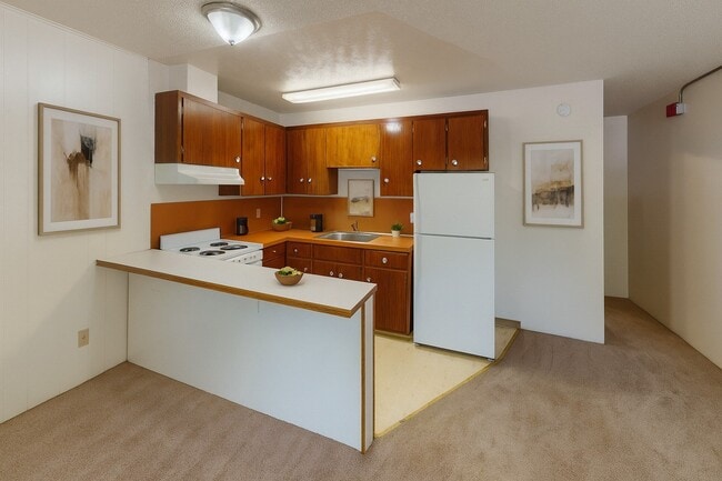 Photo - Country Lane