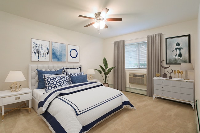 Photo - Hidden Forest