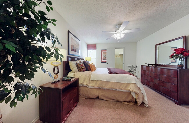 Photo - Willow Creek