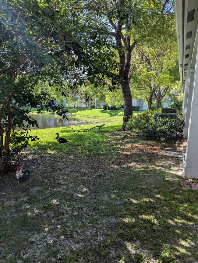 Building Photo - 2574 SW 82nd Ave Rental