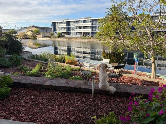 Photo - Spacious Apartments in the Desirable Bronze Coast Neighborhood Unit 867-B