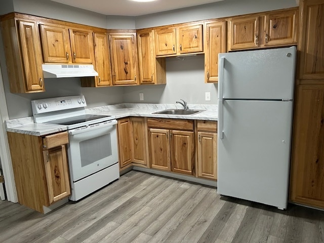 Photo - Foster Unidad 4