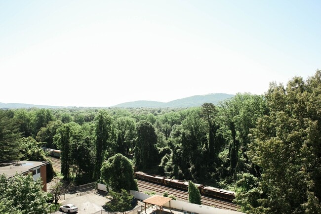 Photo - 1 Bedroom at 1800 JPA Unit #909