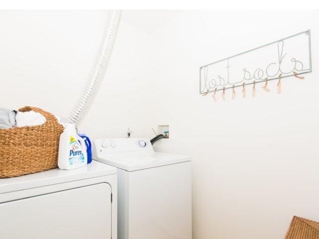 Photo - The Groves at Piney Orchard