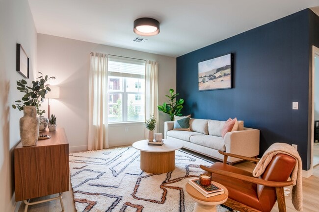 Photo - Alexan Chelmsford