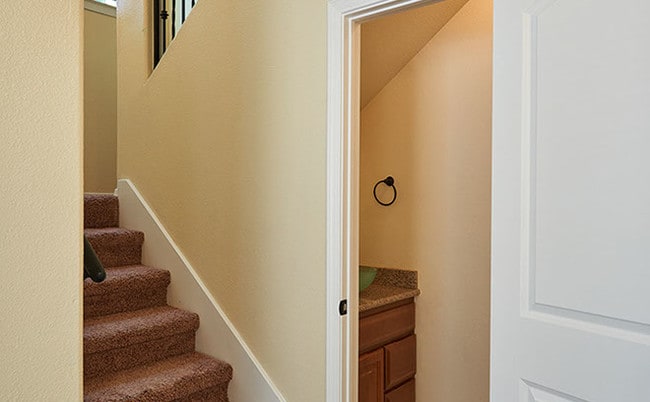 Photo - Coronado Springs