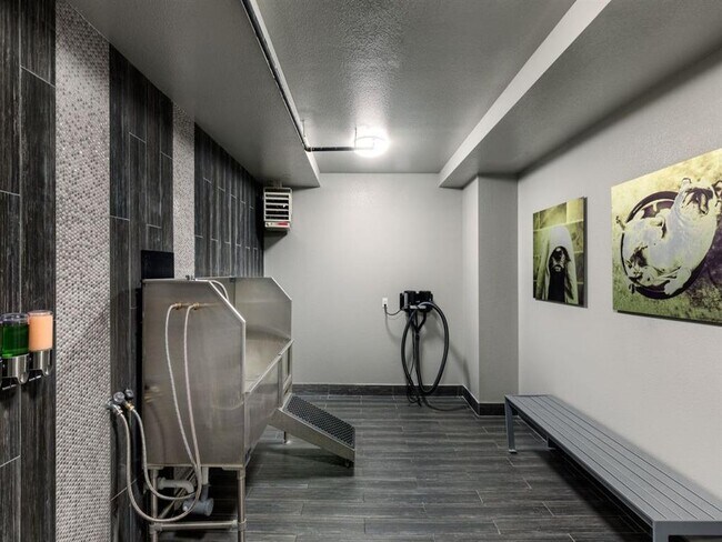 Photo - Lyra on McKinney