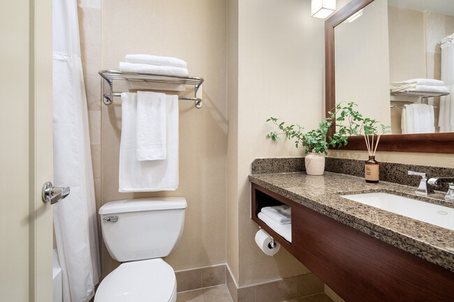 Photo - FOUND Study Turtle Bay- Student/Intern