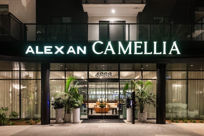 Alexan Camellia
