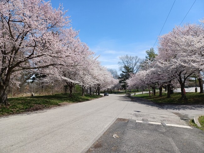 Al otro lado de la calle, Fairmount Park - 1720 Memorial Ave Unidad Three