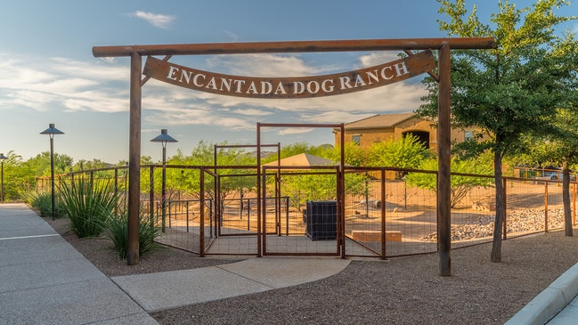 Encantada Dove Mountain