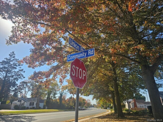 87 Community Rd