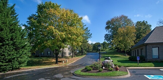 Goldelm at Cedar Bluff