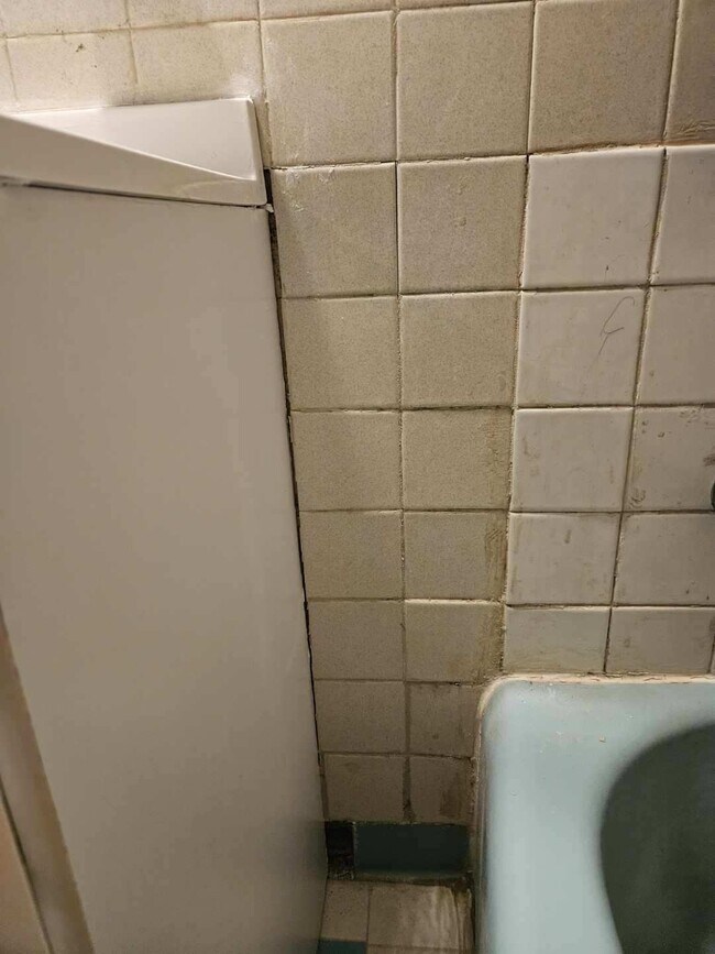 Prime Lakewood Location - 1 Bedroom - (8247-16th)