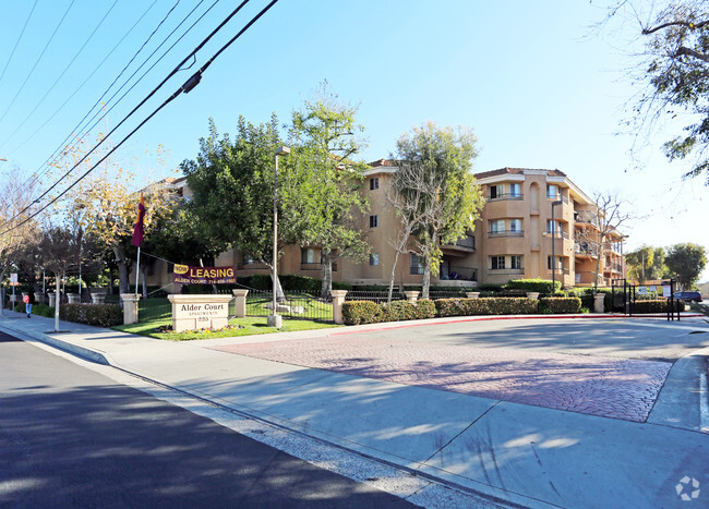 Alder Court Apartments - Alder Court Apartments