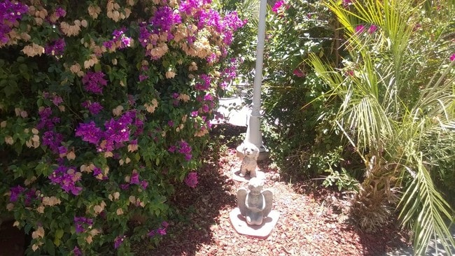 Photo - Villa Dorado Apts.