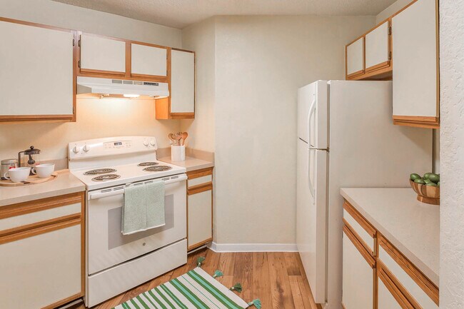 Photo - Conway Forest