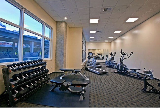 Photo - The Esplanade