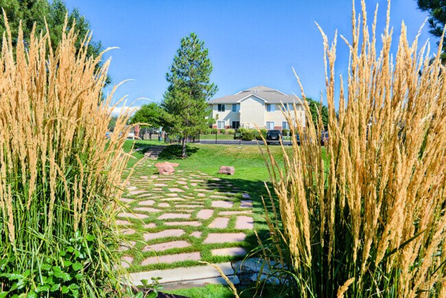 Off-Leash Dog Park