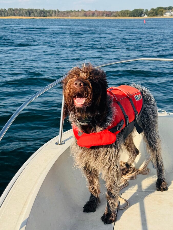 Photo - 17 Storer St Unidad #4