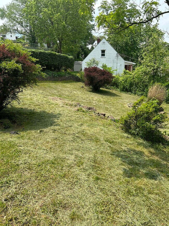 Photo - 1600 Steiner Ave