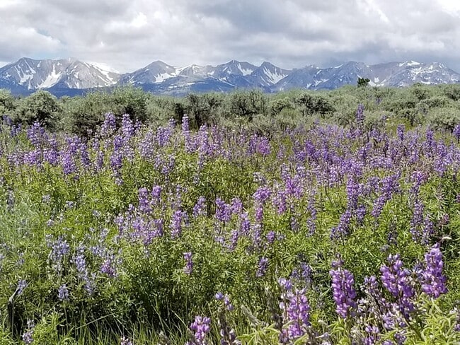 Photo - Montana Dream Turned Reality – One-of-a-Ki...