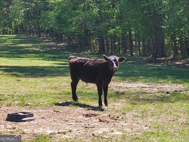 Photo - 278 Malone Rd