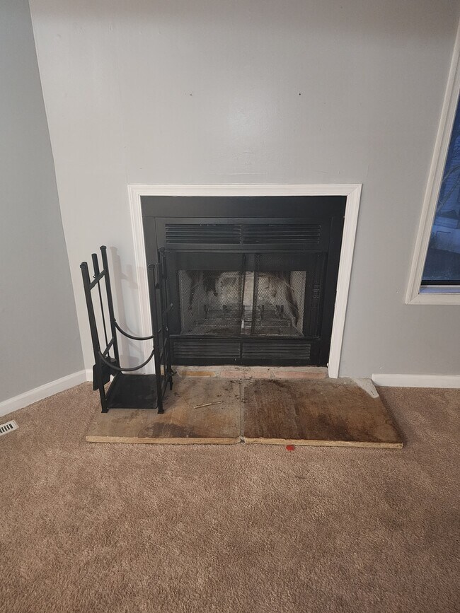 Fireplace - 51 Edinborough Ct