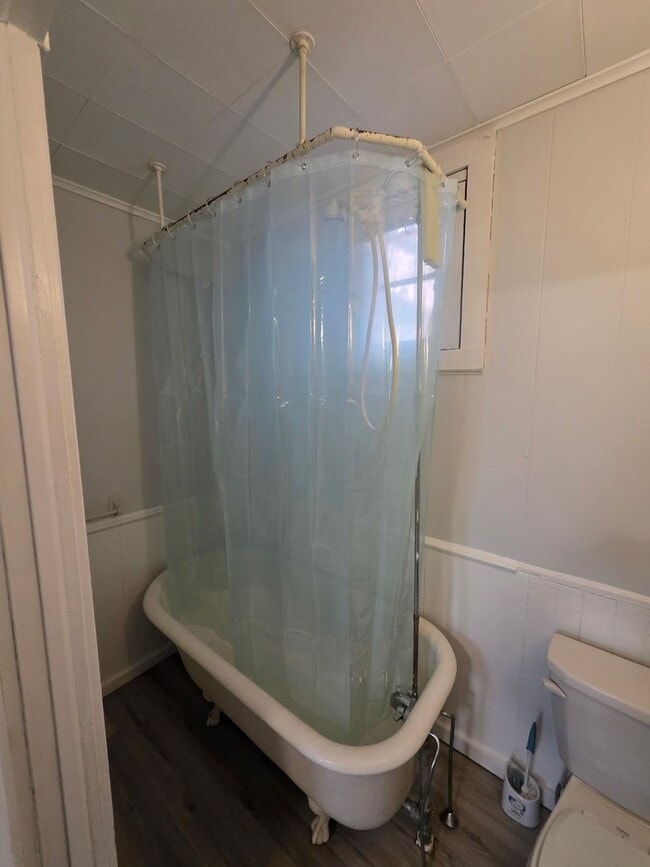 Photo - 1819 Chestnut St Unit 1819 Chestnut St Rear