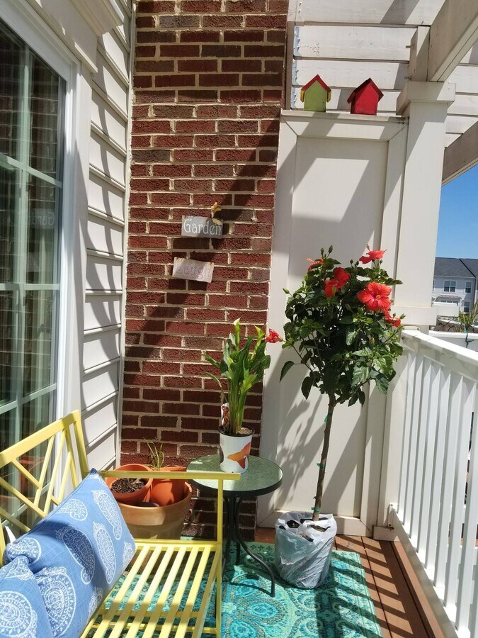 Photo - 6267 Aster Haven Cir