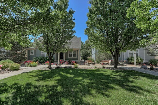 Photo - 3 Bedroom 2 Bath Home in Loveland