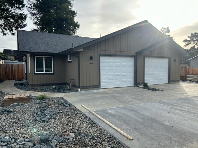 Photo - 259 Hodgson St