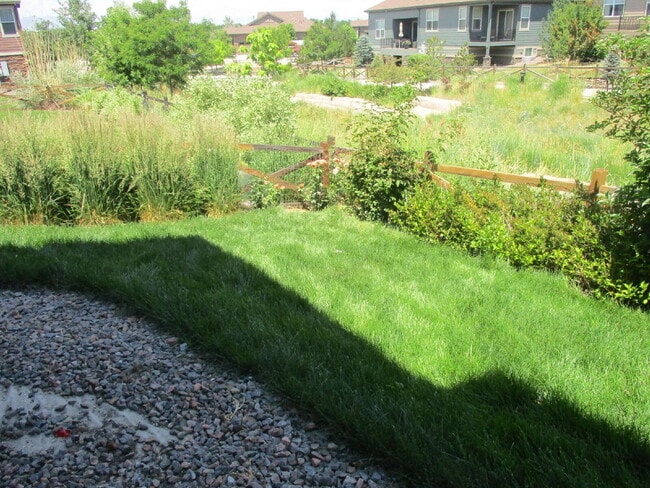 Photo - Walkout Basement Apartment - PRICED TO RENT - AVAIL 6/1/26 Unit #B