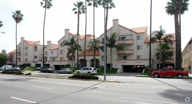Palm Terrace