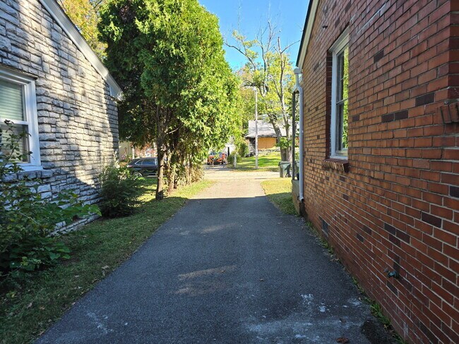 Photo - 236 Norway St