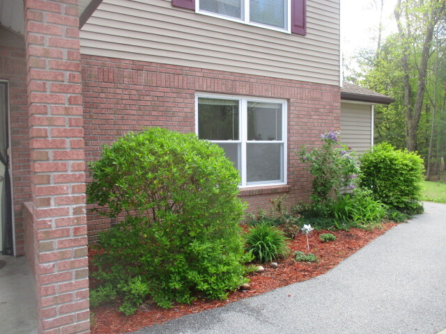 Photo - Forest Lane Apartments