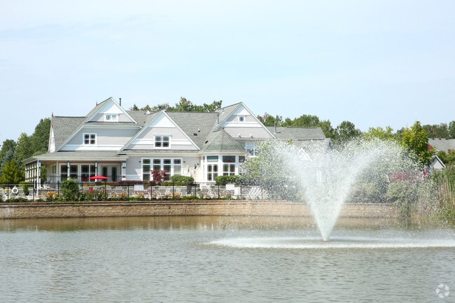 Pond