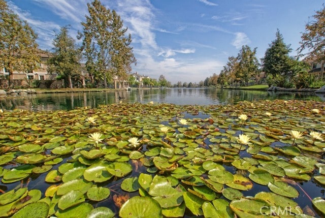 Photo - 5 Woodspring Cove