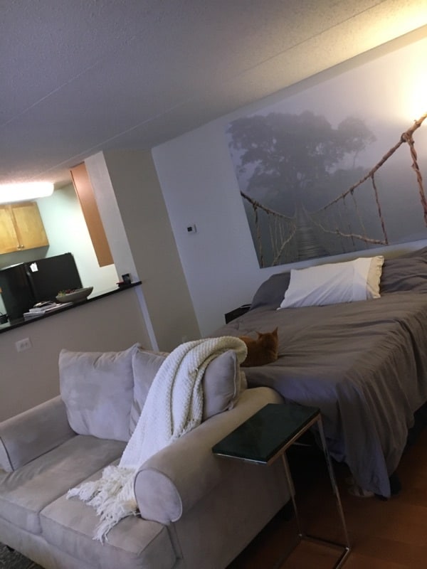 Zona de estar/dormitorio - 75 S Reynolds St Unidad 117