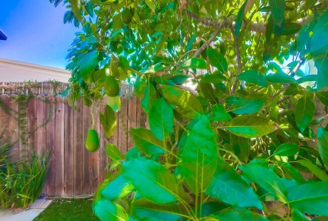 Photo - 151 Christen Way