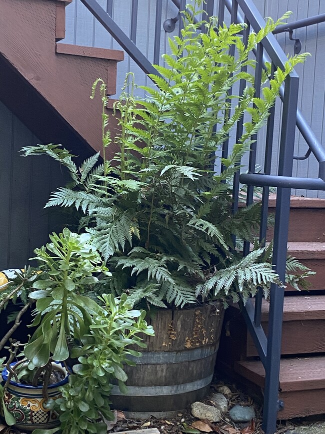 Back Stairs - 17 Deuce Ct