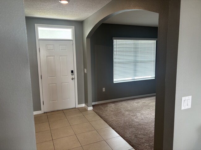 Photo - 152 Ludisia Loop