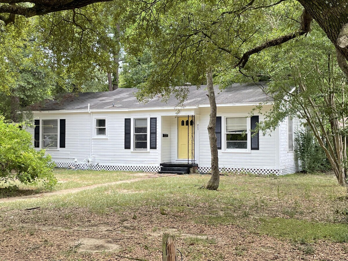 Photo - 217 Moreland Dr House