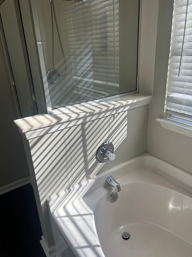 Photo - 2008 Duke Adam St