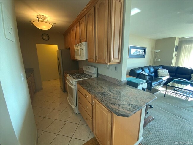 Photo - 269-10 Grand Central Pkwy Unidad 33Y