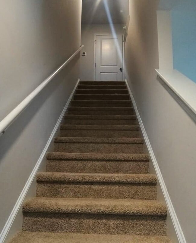 Photo - 271 Lilys Pl