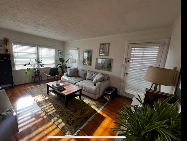 Building Photo - 224 Palm Dr Unit upper Rental